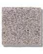 Calm Serenity I Textured 43oz Carpet