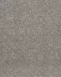 Calm Simplicity II Textured 58oz Carpet
