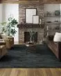 Cantada Danube Area Rug