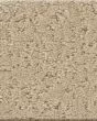 Canvas Comfort Textured Nylon 43oz Carpet
