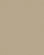 Canvas Comfort Textured Nylon 43oz Carpet