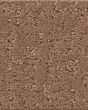Canvas Comfort Blue Textured 43oz Nylon Carpet