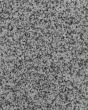 Captivating Grace Alpine Bay Carpet