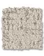 Carte Blanche Pet Friendly 43oz Pattern Carpet