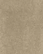 Cashmere Classic II Pecan Bark Carpet