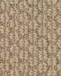 Cathedral Hill II Nylon Patterned 25oz Carpet
