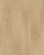 RevWood Premier Eden Springs Criollo Hickory 8" Laminate