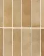 Celine Cotto Matte Glazed Porcelain 2"x6" Field Tile