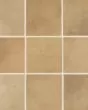 Celine Cotto Matte Glazed Porcelain 4"x4" Square Field Tile
