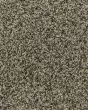 Charming Interest SmartStrand Silk Carpet