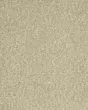 Cherished Tradition Bashful Carpet