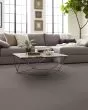 Chic Elevation Patterned Pet Friendly Carpet