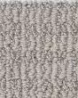 Chic Elevation Patterned Pet Friendly Carpet