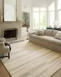 Chris CHR-04 Natural/Multi Area Rug