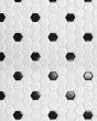 Circuit White w/black 1x1 Hexagon Matte Tile
