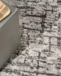 Ck950 Rush CK952 Ivory/Grey Area Rug