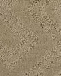 Classic Frame SmartStrand 40oz Carpet