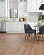 Cali Windansea High Tide Classic Acacia Vinyl