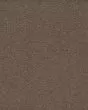 Classical Approach SmartStrand 70oz Carpet