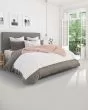 Claws and Effect I 43oz Pet Friendly Carpet