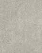Claws and Effect I 43oz Pet Friendly Carpet