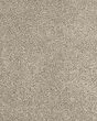 Claws and Effect II 58oz Pet Friendly Carpet