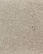 Clever Fashion II Tahoe Taupe Carpet