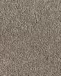 Clever Fashion II SmartStrand Textured Carpet