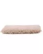 Clever Fashion III SmartStrand Textured Carpet