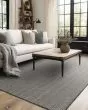 Collinsworth Charcoal Area Rug