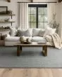 Collinsworth Navy Area Rug