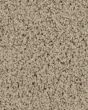 Confident Beauty Textured SmartStrand Carpet