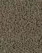 Confident Beauty Putty Carpet