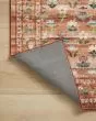 Courtyard COU-05 Terracotta Area Rug