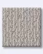 Crafted Embrace Pet Friendly Pattern 40oz Carpet