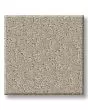 Crafted Tone 43oz Pet Friendly Patterned Carpet