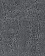 Curve Appeal SmartStrand Pattern 25oz Carpet