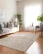 Cyprus CY3 Beige Area Rug