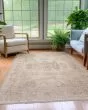 Cyprus CY3 Beige Area Rug