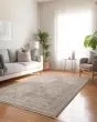 Cyprus CY6 Grey Area Rug