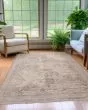 Cyprus CY6 Grey Area Rug