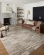 Darby DAR-01 Charcoal/Sand Area Rug
