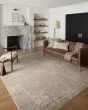 Darby DAR-05 Beige/Grey Area Rug