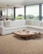 Delicate Tradition Kashmere Nylon 45oz Carpet