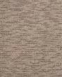 Delicate Tradition Kashmere Nylon 45oz Carpet
