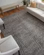 Dering T6042 Gray/Tan/Taupe Area Rug