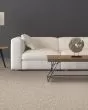 Designers Touch Textured Triexta 25oz Carpet