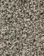 Designers Touch Textured Triexta 25oz Carpet