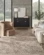 Desire DSR08 Camel Silver Area Rug