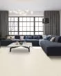 Diffurent Choice II 45oz Pet Friendly Carpet